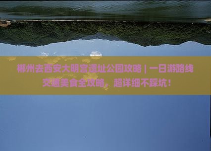郴州去西安大明宫国家遗址公园攻略