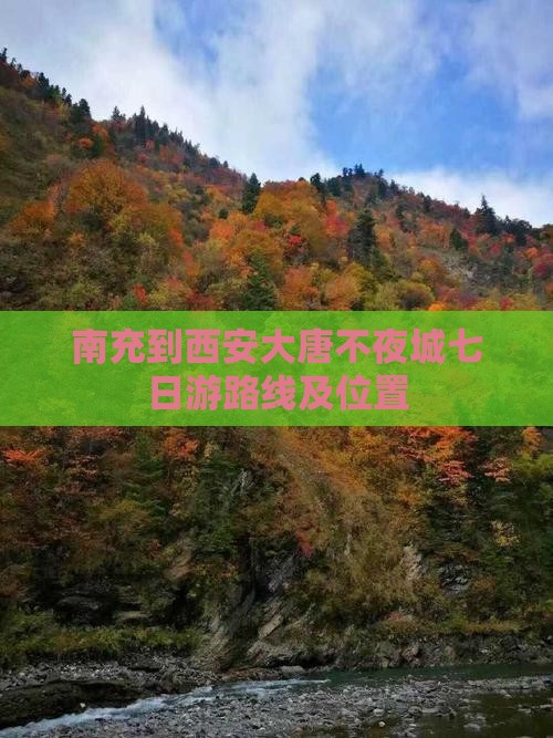 南充到西安大唐不夜城七日游