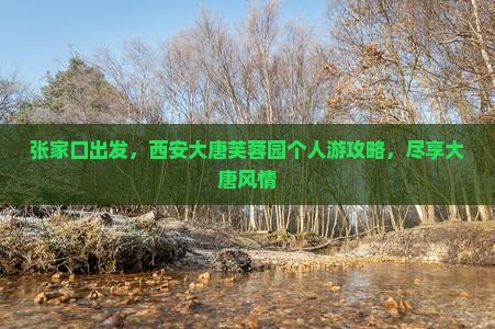 张家口去西安大唐芙蓉园个人游
