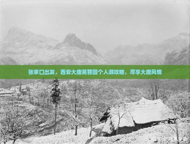 张家口去西安大唐芙蓉园个人游