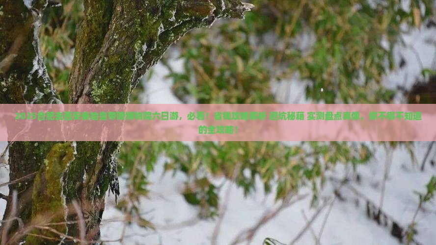 合肥去西安秦始皇帝陵博物院六日游