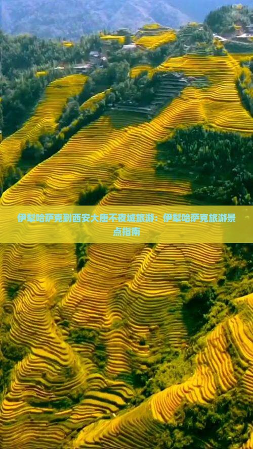 伊犁哈萨克到西安大唐不夜城旅游
