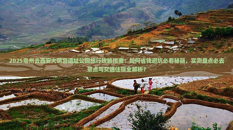 亳州去西安大明宫国家遗址公园旅行社