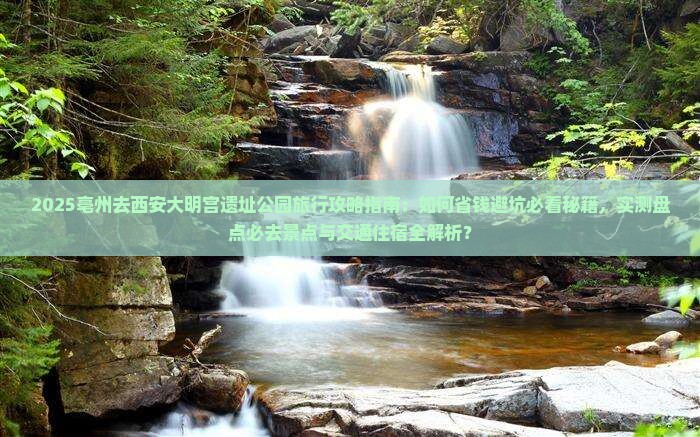亳州去西安大明宫国家遗址公园旅行社