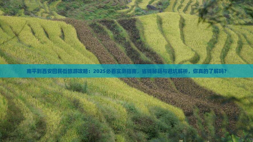 南平到西安回民街旅游
