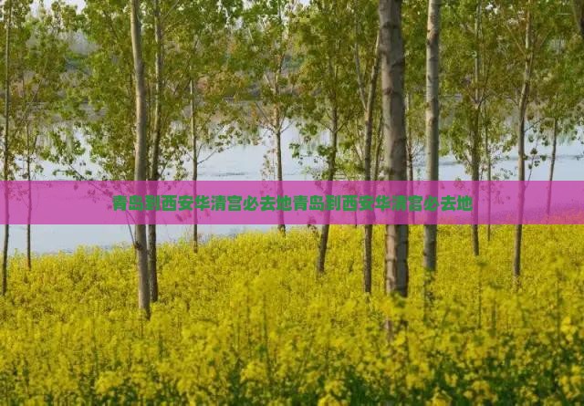 青岛到西安华清宫必去地 青岛到西安华清宫必去地