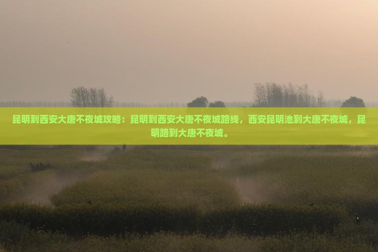 昆明到西安大唐不夜城攻略