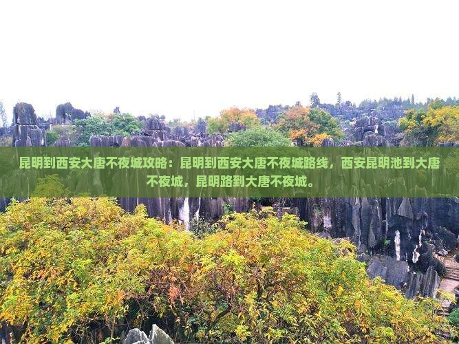 昆明到西安大唐不夜城攻略