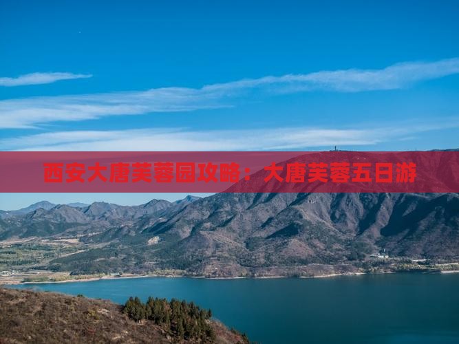 海西去西安大唐芙蓉园五日游