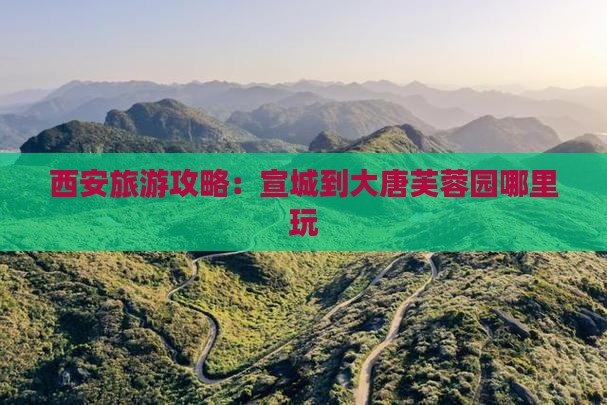 宣城到西安大唐芙蓉园哪里玩