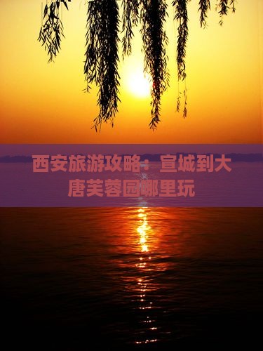 宣城到西安大唐芙蓉园哪里玩