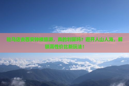 驻马店去西安钟楼旅游