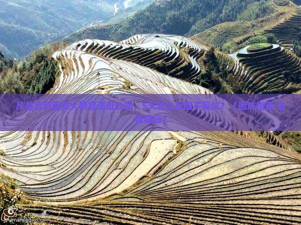 昌吉到西安大明宫国家遗址公园旅游