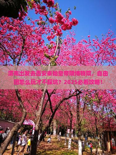 渭南到西安秦始皇帝陵博物院自由团 渭南到西安秦始皇帝陵博物院自由团