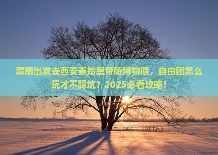 渭南到西安秦始皇帝陵博物院自由团 渭南到西安秦始皇帝陵博物院自由团