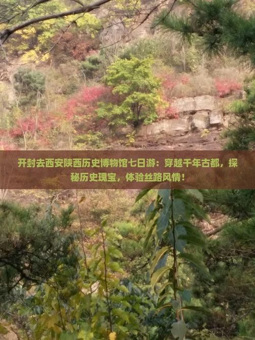 开封去西安陕西历史博物馆七日游