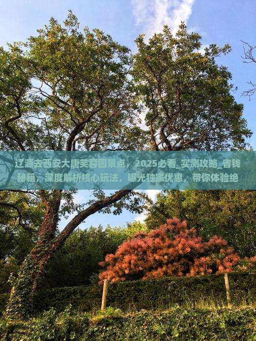 辽源去西安大唐芙蓉园景点