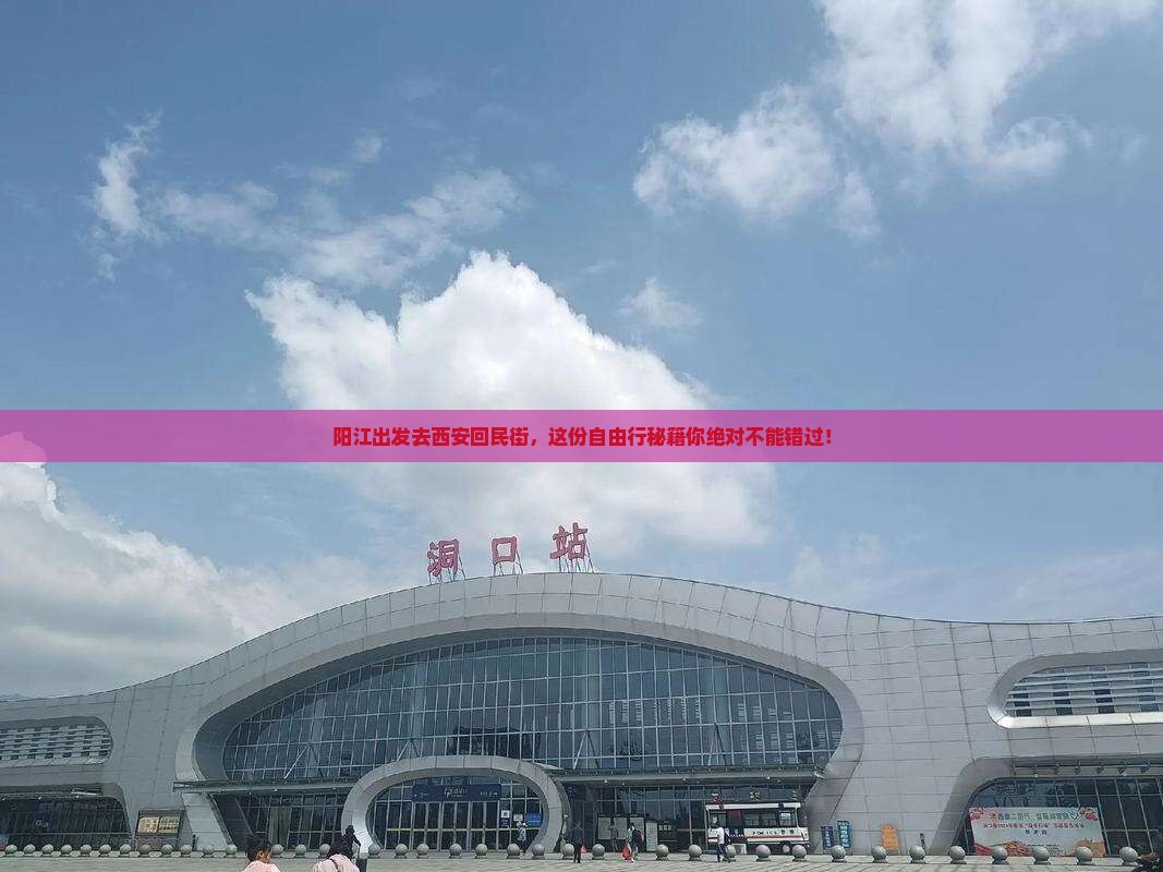阳江去西安回民街自由行