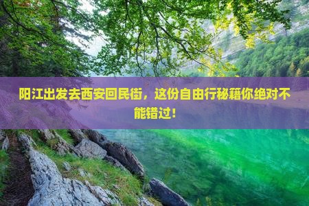 阳江去西安回民街自由行