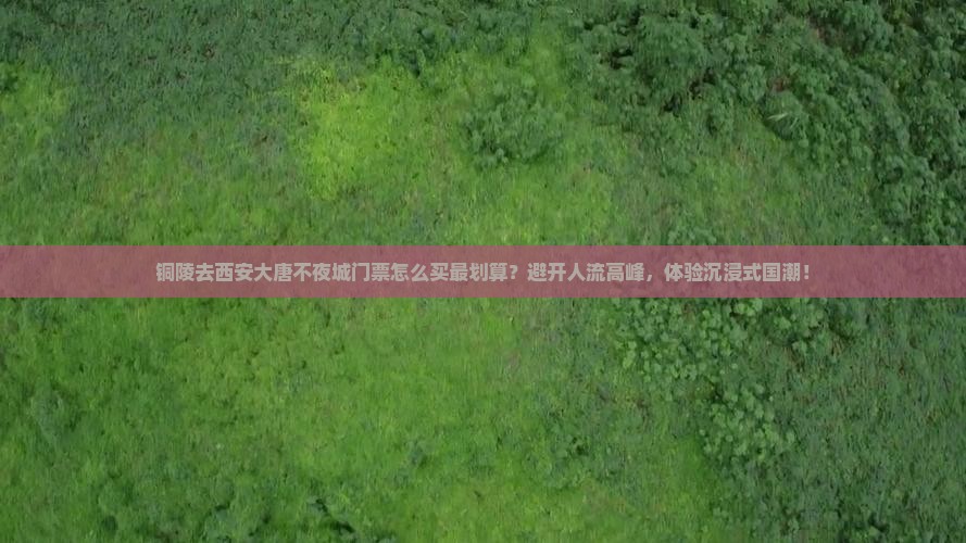 铜陵去西安大唐不夜城门票