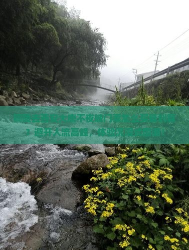 铜陵去西安大唐不夜城门票