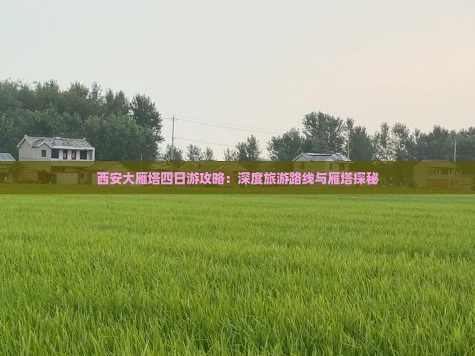 晋中去西安大雁塔四日游
