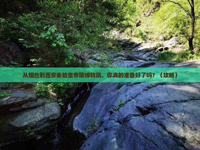 烟台到西安秦始皇帝陵博物院旅游