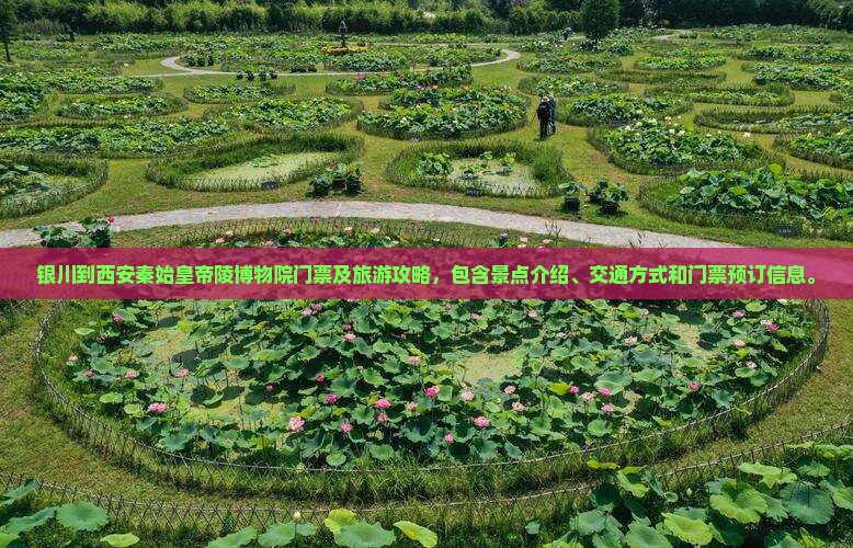 银川到西安秦始皇帝陵博物院门票