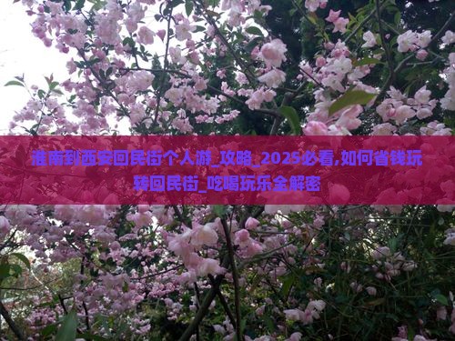 淮南到西安回民街个人游