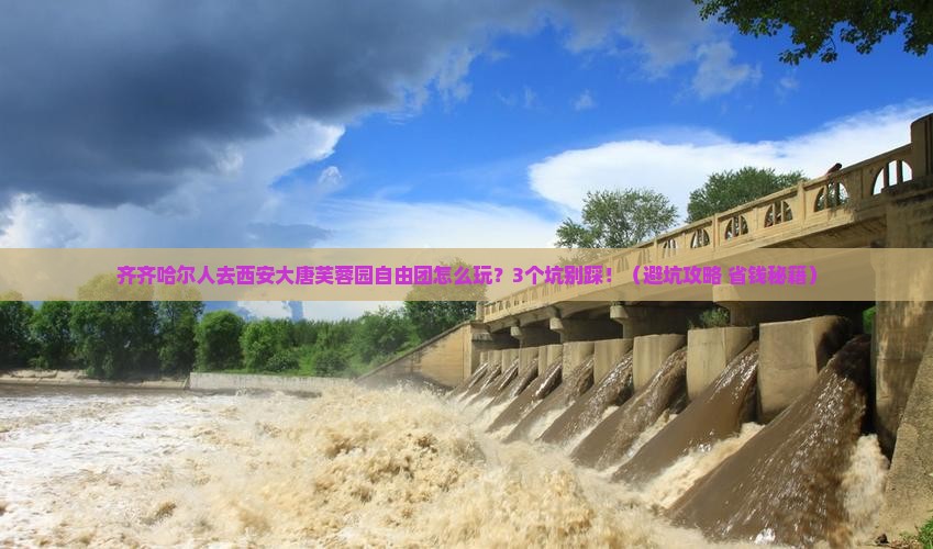 齐齐哈尔去西安大唐芙蓉园自由团