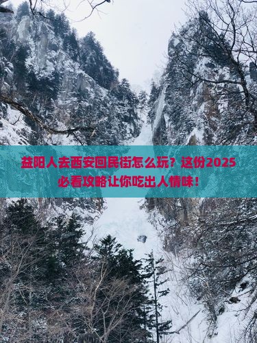 益阳去西安回民街旅行社
