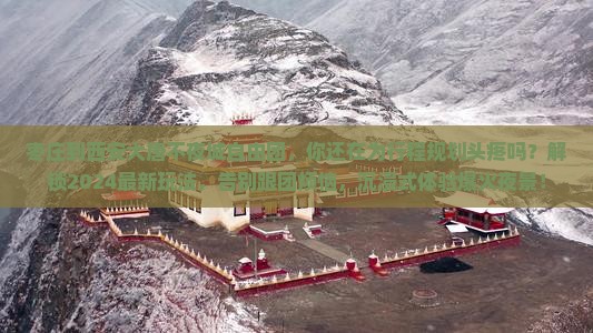 枣庄到西安大唐不夜城自由团