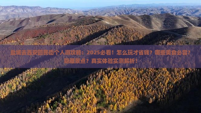 盐城去西安回民街个人游