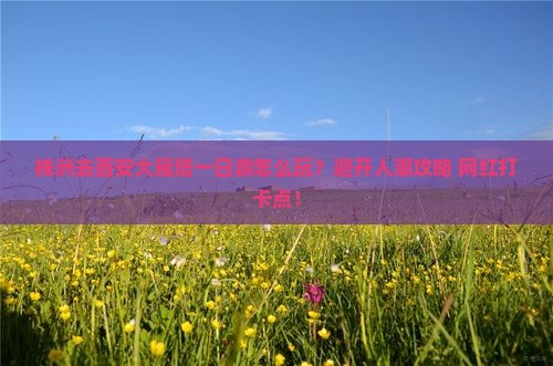 株洲去西安大雁塔一日游