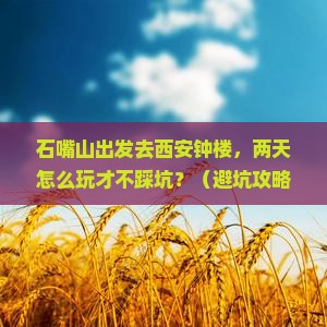石嘴山去西安钟楼二日游