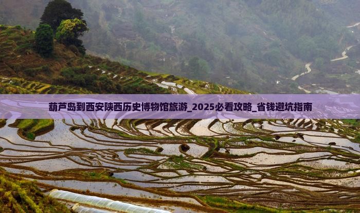葫芦岛到西安陕西历史博物馆旅游