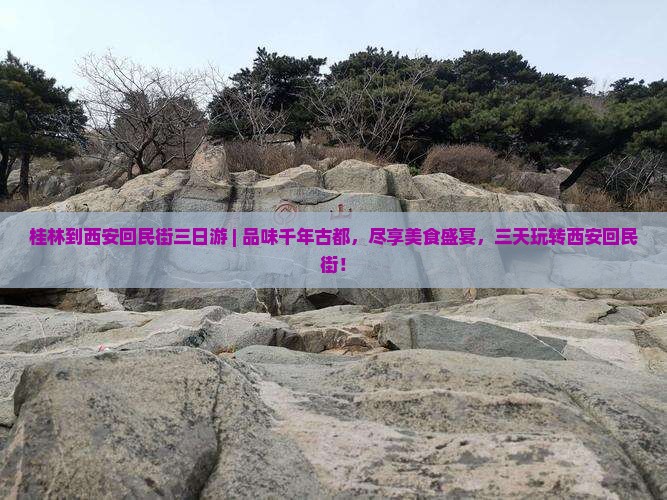 桂林到西安回民街三日游