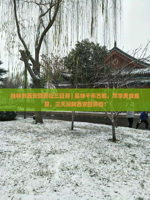 桂林到西安回民街三日游