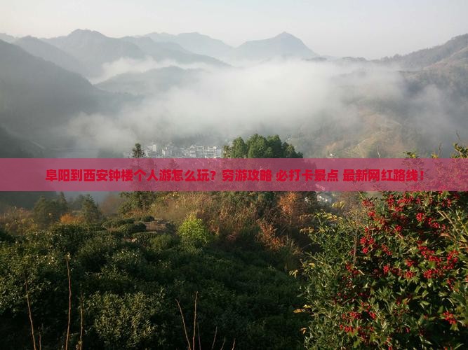 阜阳到西安钟楼个人游