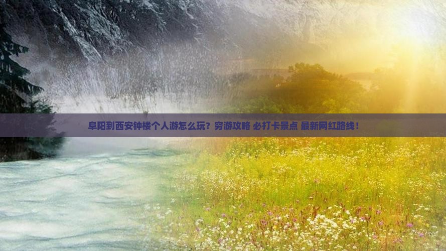 阜阳到西安钟楼个人游