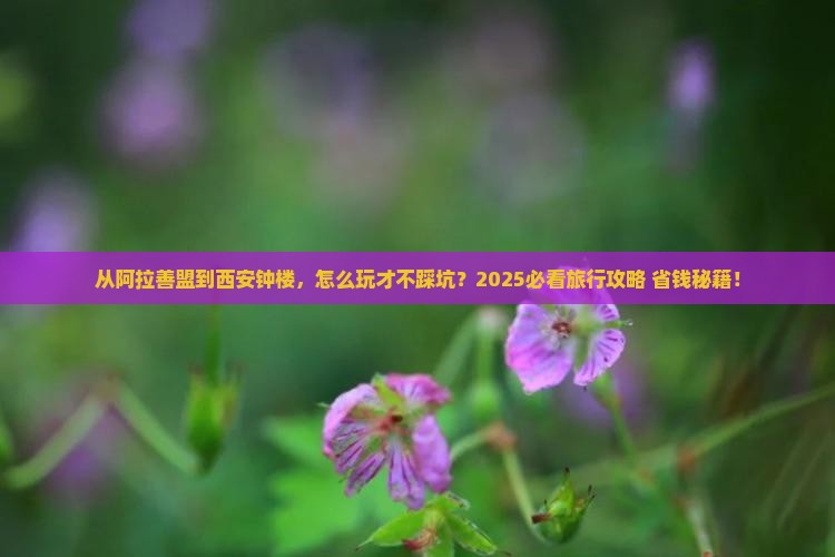 阿拉善盟去西安钟楼旅行社
