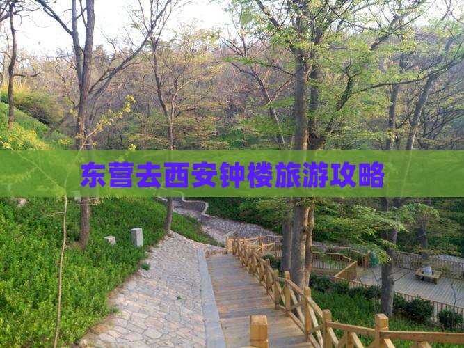 东营去西安钟楼旅游