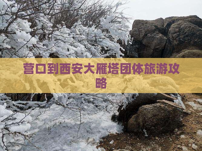 营口到西安大雁塔团体旅游