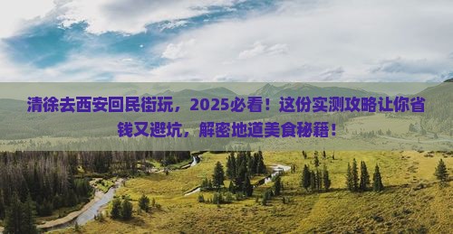 清徐去西安回民街哪里玩
