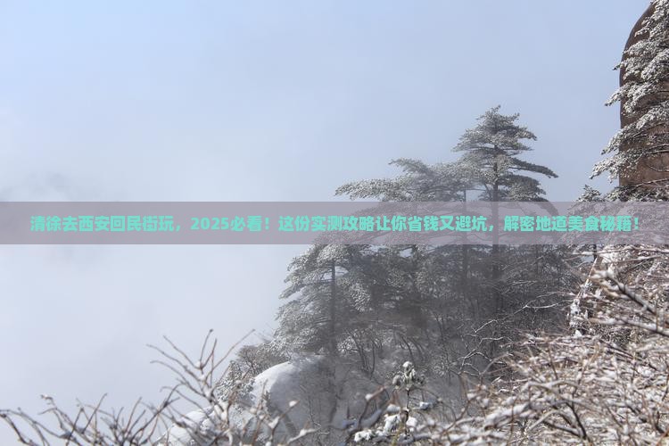 清徐去西安回民街哪里玩