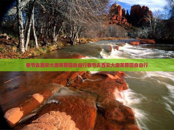 春节去西安大唐芙蓉园自由行
