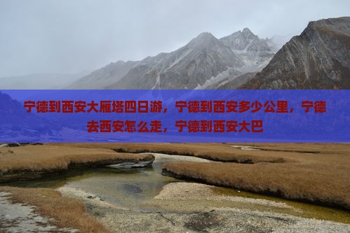 宁德到西安大雁塔四日游