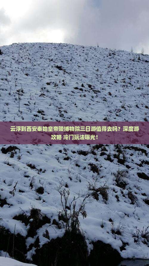 云浮到西安秦始皇帝陵博物院三日游