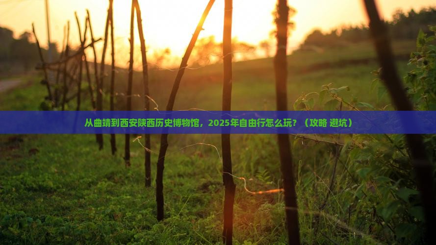 曲靖去西安陕西历史博物馆自由行