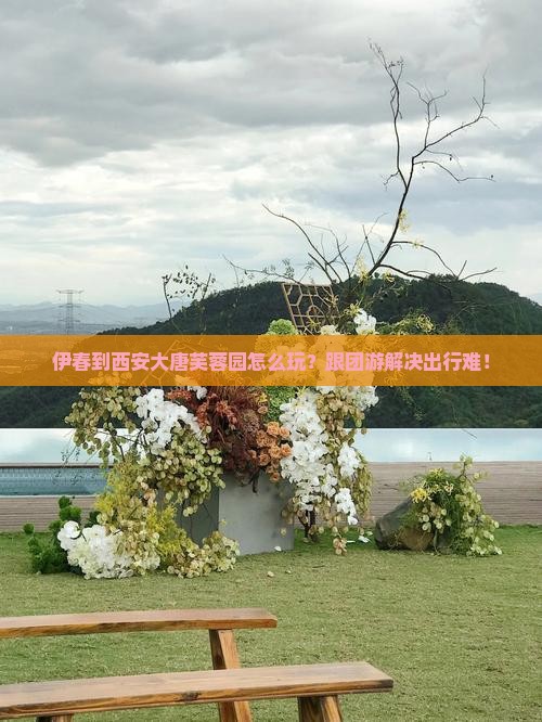 伊春到西安大唐芙蓉园团体旅游